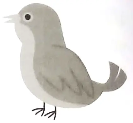 A picture containing bird, gallinaceous birdDescription automatically generated