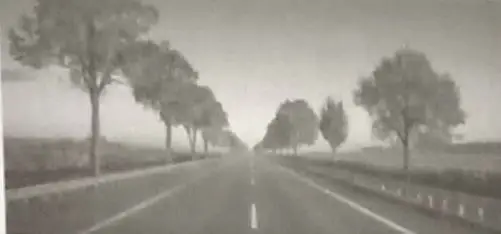 A road with trees on the sideDescription automatically generated with medium confidence