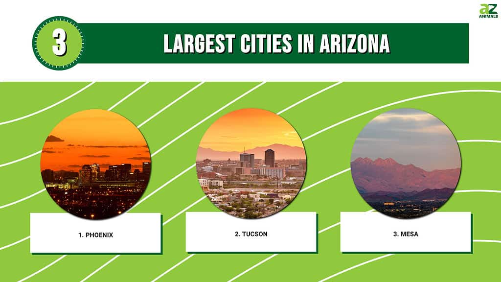 Interesting and Unique Fun Facts about Arizona